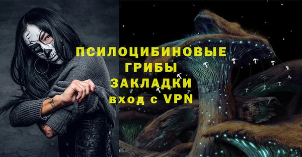 ECSTASY Алзамай